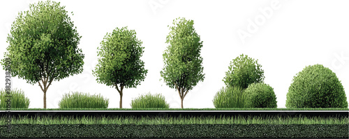 Various green trees and bushes with a detailed grass layer below shrub