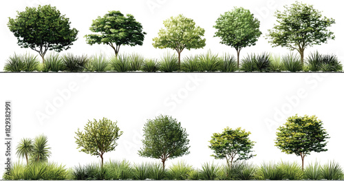 Collection of diverse green trees and lush grasses against a white background nature