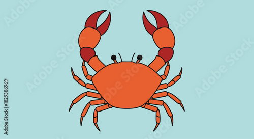 Simple cartoon illustration of an orange sea crab.