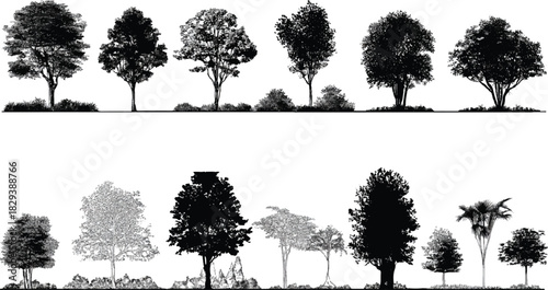 Collection of black and white line drawing trees and bushes in two rows plant
