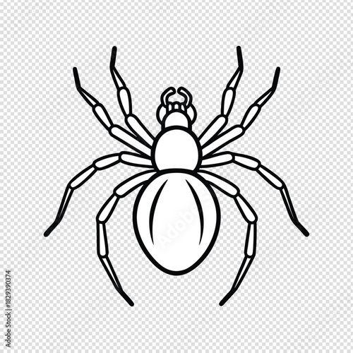 Striking black and white detailed line art illustration of a realistic spider with eight legs and a prominent rounded abdomen
