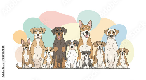 Illustration of various dog breeds, showcasing their diverse appearances and characteristics in a row.