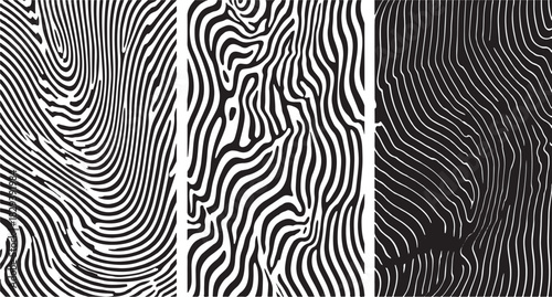 Three abstract black and white patterns fingerprint zebra wood grain texture vector