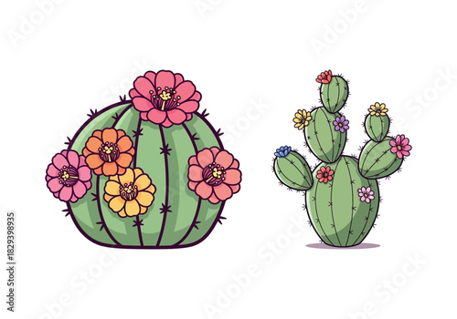 Blooming Desert Dwellers A Vibrant Duo of Flowering Cacti
