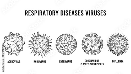 Respiratory virus types illustration