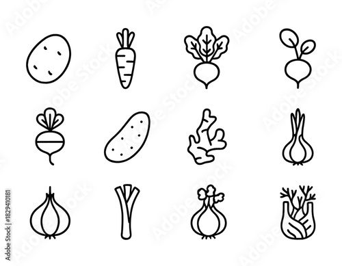 Simple black line art of vegetables: potato, carrot, beet, radish, ginger, garlic, leek, and fennel