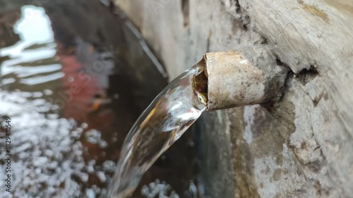 Wallpaper Mural A water tap fills a fish pond with a steady stream, creating ripples and refreshing the pond for aquatic life in a calm outdoor setting. Torontodigital.ca