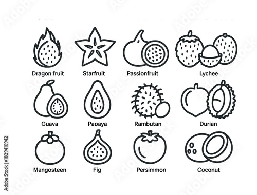 Outline icons of exotic tropical fruits: dragon fruit, starfruit, guava, and more