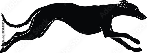 Dynamic Black Greyhound Silhouette Vector: Elegant Running Dog Illustration – Monochrome Graphic Design for Speed, Agility, Racing, Pet Adoption, Canine Breed, and Athletic Animal Symbolism Concept.
