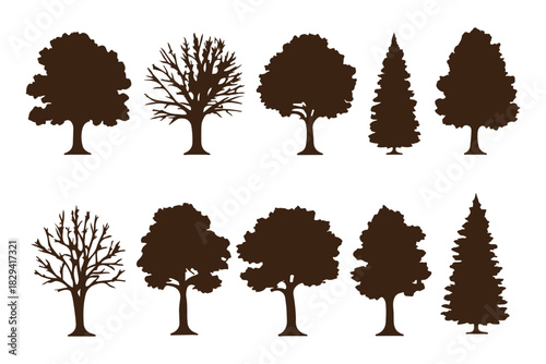 Winter tree silhouette set, bare deciduous and pine trees vector collection, leafless forest clipart, seasonal nature illustration pack
