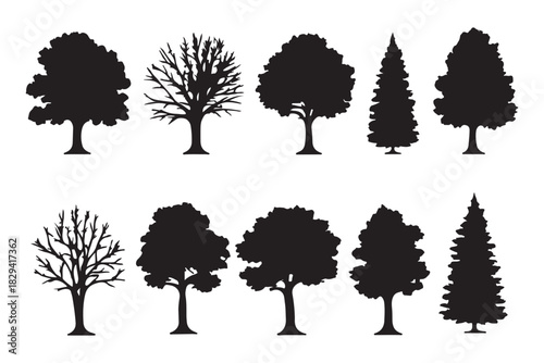 Winter tree silhouette set, bare deciduous and pine trees vector collection, leafless forest clipart, seasonal nature illustration pack