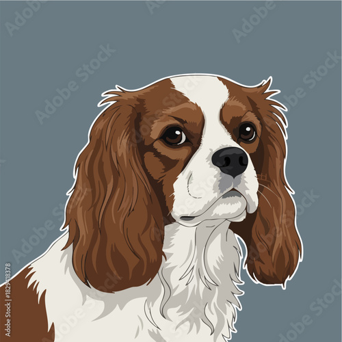 Cute Cavalier King Charles Spaniel Dog Portrait Illustration