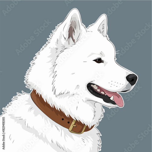 Fluffy white dog portrait wearing a leather collar, detailed illustration.