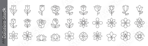Flower and blossom line icon set – editable outline symbols of tulip, rose, lotus, daisy and floral design