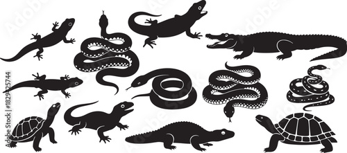 silhouettes of various reptiles including crocodiles, alligators, snakes, lizards, and turtles set on a white background