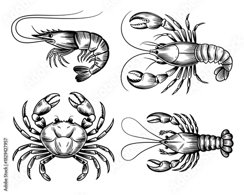 Vintage engraving style illustrations of shrimp crab and lobster