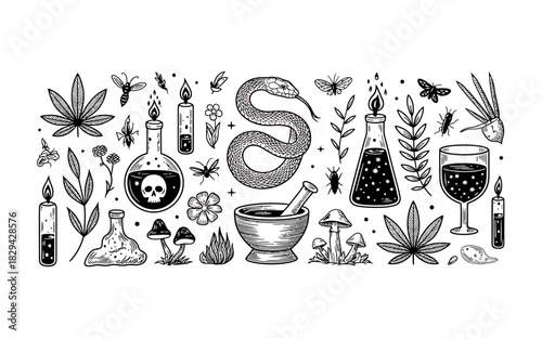 Mystical witchcraft and alchemy symbols collection hand drawn illustration