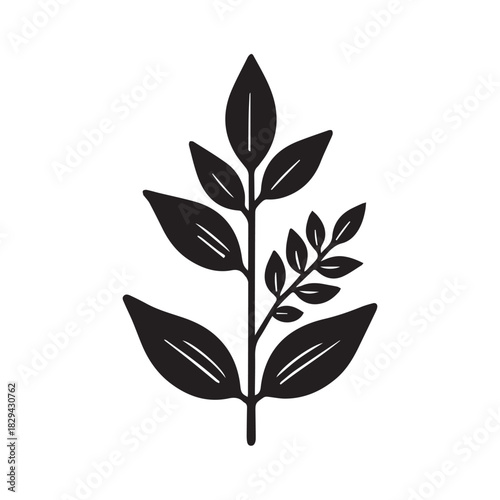 Flowing S-Form Student Academic Logo Displaying Study Progress