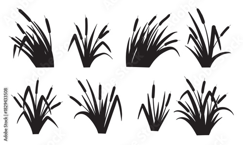 Cattails Vector Black and White