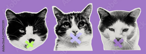 Silence, speech censorship, modern halftone collage. A cat's mouth is sealed with duct tape, prohibiting speech, conversation, silence, and silence. A paper cutout of a pet, an animal. Vector.