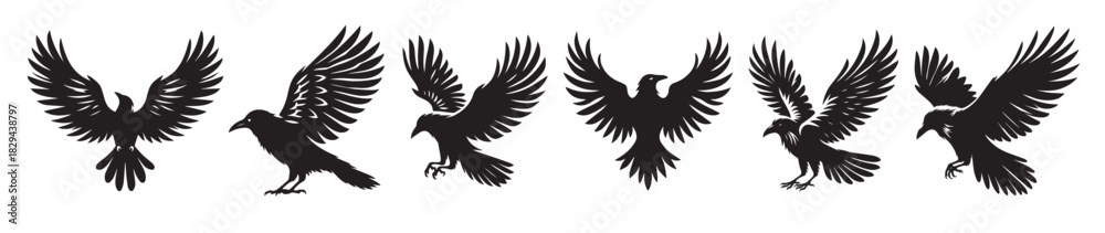 Fototapeta premium crow bird black soild silhouette bundle isolated on white 
