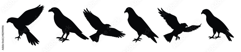 Fototapeta premium Eagle Hawk Falcon Bird Silhouettes Flying Hunting Vector