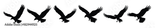Eagle Silhouettes - Black Flying Bird of Prey Vector Clipart Set