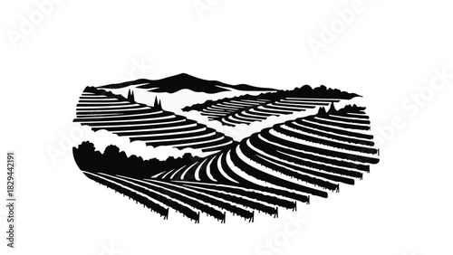Rolling vineyard hills under a majestic mountain silhouette, depicted in a stylized black and white illustration.