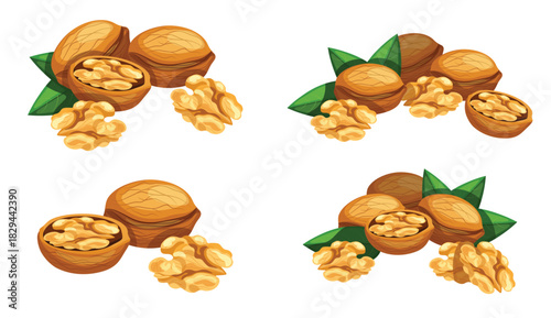 set of delicious walnuts isolated on white background fresh