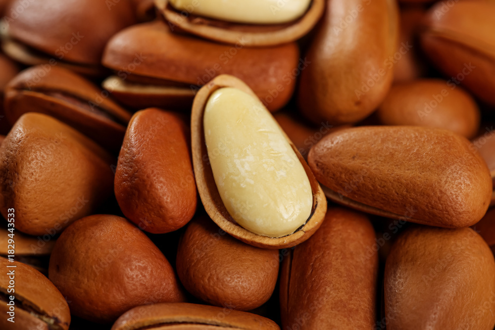 Fototapeta premium Fresh Pine Nuts with Red Brown Shells Handpeeled Seeds Natural Largegrain Texture Close-up Food Photography
