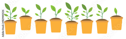 GROW UP PLANT ICONS