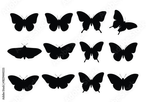 set of twelve butterfly and moth silhouettes isolated