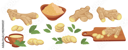 set of ginger roots ginger root dry ground ginger ginger