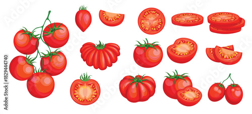 set of red tomatoes in cartoon style illustration of fresh