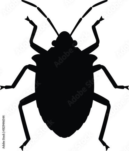 Black insect silhouette vector illustration, simple beetle bug shape design, wildlife entomology graphic icon, crawling nature insect outline, biology artwork