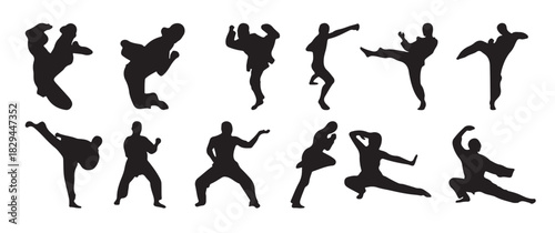 xmartial arts silhouette vector