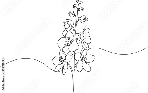 Elegant delphinium flower rendered in continuous minimalist line
