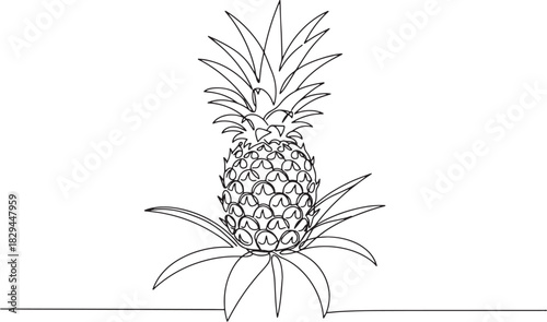 Single line drawing of a fresh pineapple plant for minimalist de