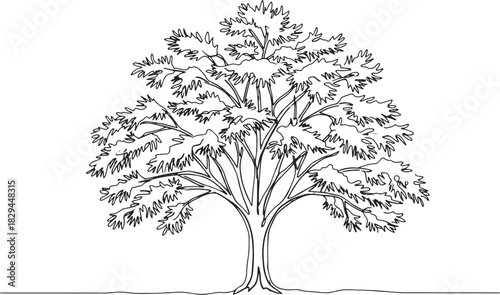 Single Line Drawing Illustration of a Mature Tree with Dense Lea