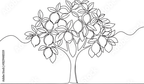 Elegant Single Line Drawing of a Lemon Tree with Fruits and Leav