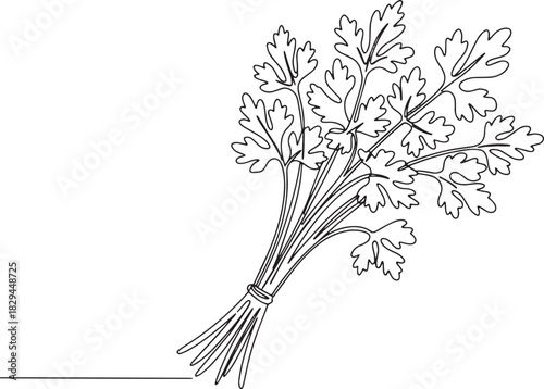 Minimalist line art depicting a fresh parsley bunch, showcasing