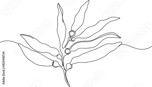 Elegant kelp illustration in continuous line art style, ocean li
