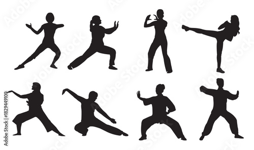 silhouette of tai chi women vector