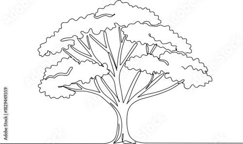 Elegant single line drawing showcasing a stylized arboreal form