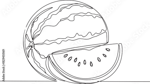 Minimalist watermelon illustration in single continuous line dra
