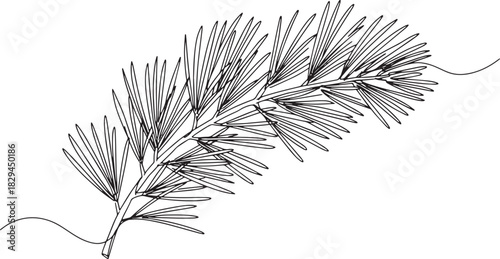 Elegant minimalistic cedar branch line art illustration for vers