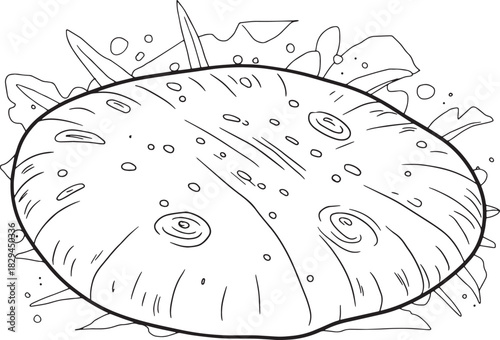 Hand-drawn outline of pita bread filled with fresh leafy greens