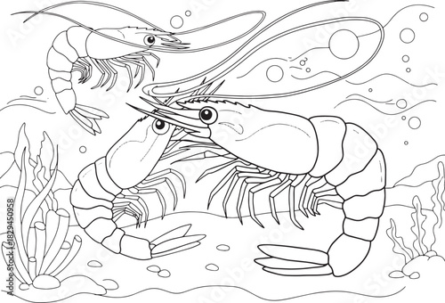 Detailed Prawns Coloring Page for Kids Underwater Scene Illustra