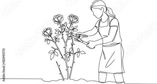 Continuous Line Drawing of Woman Pruning Rose Bush in Minimalist