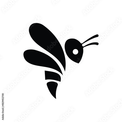 black and white butterfly